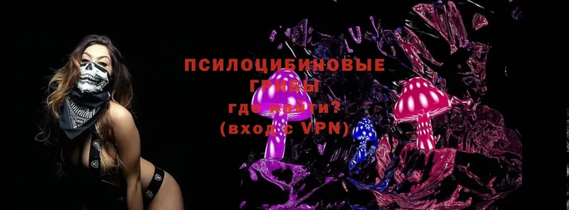 Псилоцибиновые грибы Magic Shrooms  Рассказово 